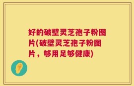 好的破壁灵芝孢子粉图片(破壁灵芝孢子粉图片，够用足够健康)