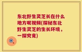 东北野生灵芝长在什么地方呢视频(探秘东北野生灵芝的生长环境，一探究竟)
