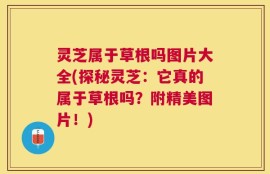 灵芝属于草根吗图片大全(探秘灵芝：它真的属于草根吗？附精美图片！)