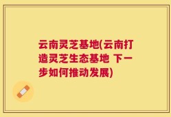 云南灵芝基地(云南打造灵芝生态基地 下一步如何推动发展)