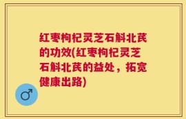 红枣枸杞灵芝石斛北芪的功效(红枣枸杞灵芝石斛北芪的益处，拓宽健康出路)