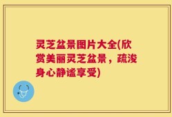 灵芝盆景图片大全(欣赏美丽灵芝盆景，疏浚身心静谧享受)