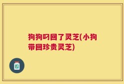 狗狗叼回了灵芝(小狗带回珍贵灵芝)
