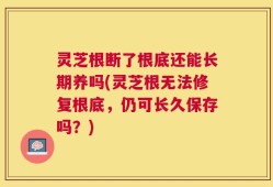 灵芝根断了根底还能长期养吗(灵芝根无法修复根底，仍可长久保存吗？)