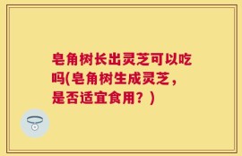 皂角树长出灵芝可以吃吗(皂角树生成灵芝，是否适宜食用？)