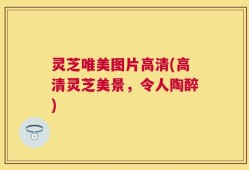 灵芝唯美图片高清(高清灵芝美景，令人陶醉)