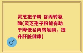 灵芝孢子粉 谷丙转氨酶(灵芝孢子粉能有助于降低谷丙转氨酶，提升肝脏健康)