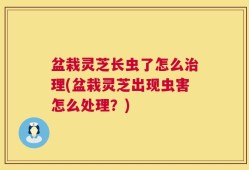 盆栽灵芝长虫了怎么治理(盆栽灵芝出现虫害怎么处理？)