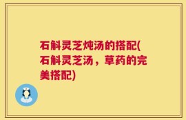 石斛灵芝炖汤的搭配(石斛灵芝汤，草药的完美搭配)