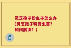 灵芝孢子粉虫子怎么办(灵芝孢子粉受虫害？如何解决？)