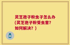 灵芝孢子粉虫子怎么办(灵芝孢子粉受虫害？如何解决？)