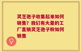 灵芝孢子收集起来如何销售？我们有大量的工厂直销灵芝孢子粉如何销售