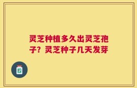 灵芝种植多久出灵芝孢子？灵芝种子几天发芽