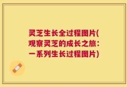 灵芝生长全过程图片(观察灵芝的成长之旅：一系列生长过程图片)