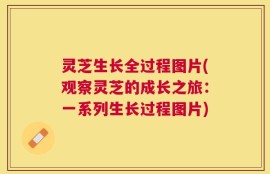 灵芝生长全过程图片(观察灵芝的成长之旅：一系列生长过程图片)