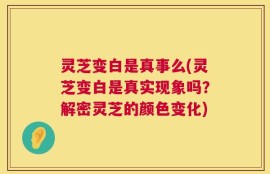 灵芝变白是真事么(灵芝变白是真实现象吗？解密灵芝的颜色变化)