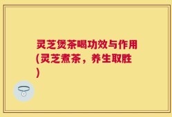 灵芝煲茶喝功效与作用(灵芝煮茶，养生取胜)