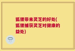 狐狸带来灵芝的好处(狐狸捕获灵芝对健康的益处)