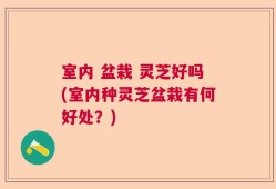 室内 盆栽 灵芝好吗(室内种灵芝盆栽有何好处？)