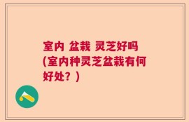室内 盆栽 灵芝好吗(室内种灵芝盆栽有何好处？)