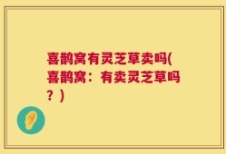 喜鹊窝有灵芝草卖吗(喜鹊窝：有卖灵芝草吗？)