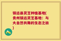 镇远县灵芝种植基地(贵州镇远灵芝基地：与大自然共舞的生态之旅)