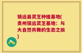 镇远县灵芝种植基地(贵州镇远灵芝基地：与大自然共舞的生态之旅)