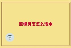 整棵灵芝怎么泡水