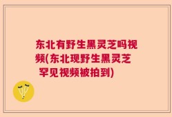 东北有野生黑灵芝吗视频(东北现野生黑灵芝 罕见视频被拍到)