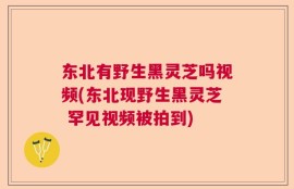 东北有野生黑灵芝吗视频(东北现野生黑灵芝 罕见视频被拍到)