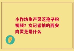 小作坊生产灵芝孢子粉视频？女记者拍的西安肉灵芝是什么