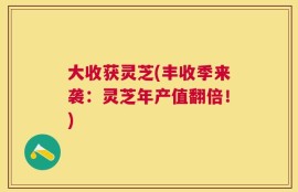 大收获灵芝(丰收季来袭：灵芝年产值翻倍！)