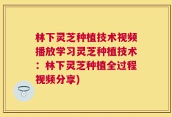 林下灵芝种植技术视频播放学习灵芝种植技术：林下灵芝种植全过程视频分享)