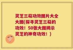 灵芝三萜功效图片大全大图(探寻灵芝三萜的功效！50张大图揭示灵芝的神奇功效！)