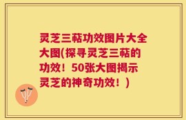 灵芝三萜功效图片大全大图(探寻灵芝三萜的功效！50张大图揭示灵芝的神奇功效！)