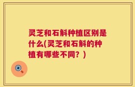 灵芝和石斛种植区别是什么(灵芝和石斛的种植有哪些不同？)