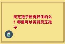 灵芝孢子粉有野生的么？哪里可以买到灵芝孢子