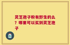 灵芝孢子粉有野生的么？哪里可以买到灵芝孢子