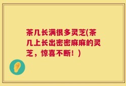 茶几长满很多灵芝(茶几上长出密密麻麻的灵芝，惊喜不断！)