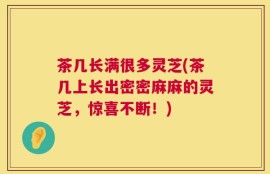 茶几长满很多灵芝(茶几上长出密密麻麻的灵芝，惊喜不断！)