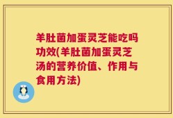 羊肚菌加蛋灵芝能吃吗功效(羊肚菌加蛋灵芝汤的营养价值、作用与食用方法)