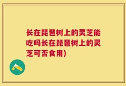 长在琵琶树上的灵芝能吃吗长在琵琶树上的灵芝可否食用)