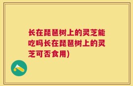 长在琵琶树上的灵芝能吃吗长在琵琶树上的灵芝可否食用)