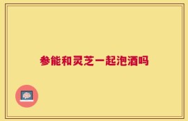 参能和灵芝一起泡酒吗