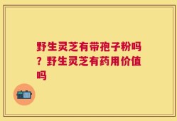 野生灵芝有带孢子粉吗？野生灵芝有药用价值吗