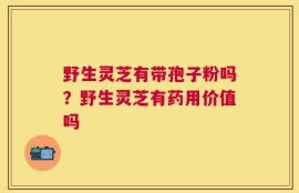野生灵芝有带孢子粉吗？野生灵芝有药用价值吗