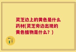 灵芝边上的黄色是什么药材(灵芝旁边出现的黄色植物是什么？)