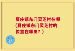 夏庄镇东门灵芝村在哪(夏庄镇东门灵芝村的位置在哪里？)