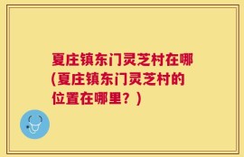 夏庄镇东门灵芝村在哪(夏庄镇东门灵芝村的位置在哪里？)