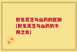 野生灵芝与山药的区别(野生灵芝与山药的不同之处)